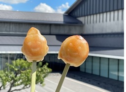 雛ぐし